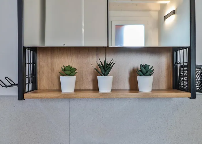 Luxury - Agnini 2 Apartment Castelfranco Emilia