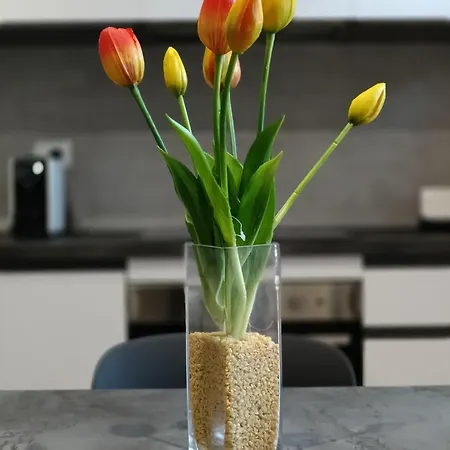 Διαμέρισμα Luxury - Agnini 2 *