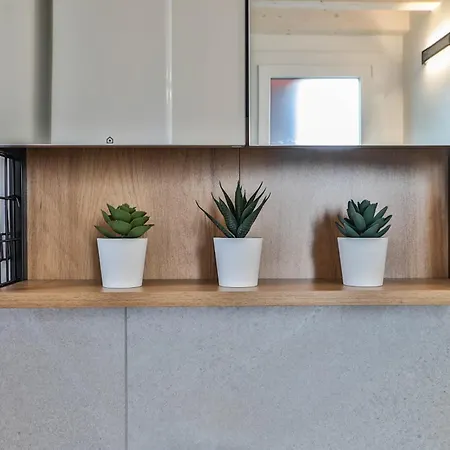 Luxury - Agnini 2 Διαμέρισμα Castelfranco Emilia