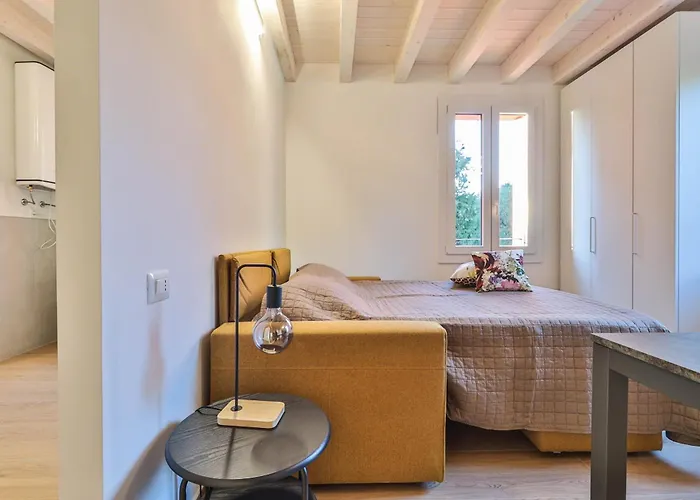 Luxury - Agnini 2 * Castelfranco Emilia