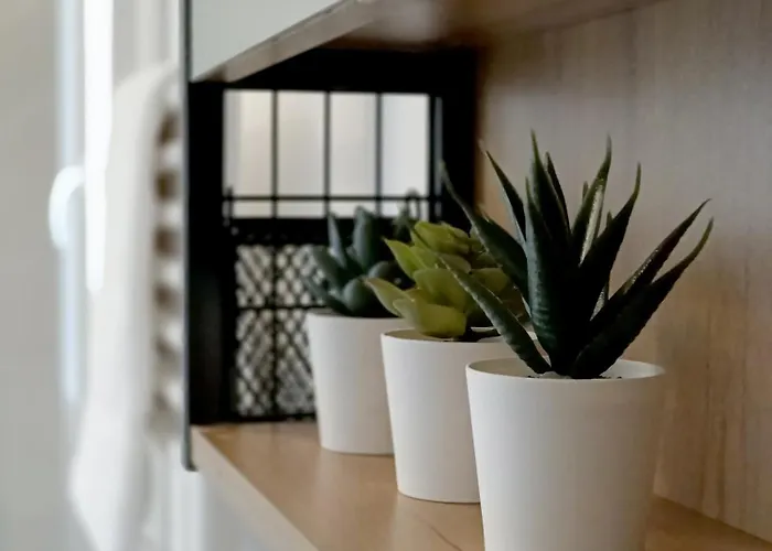 Luxury - Agnini 2 Appartement *