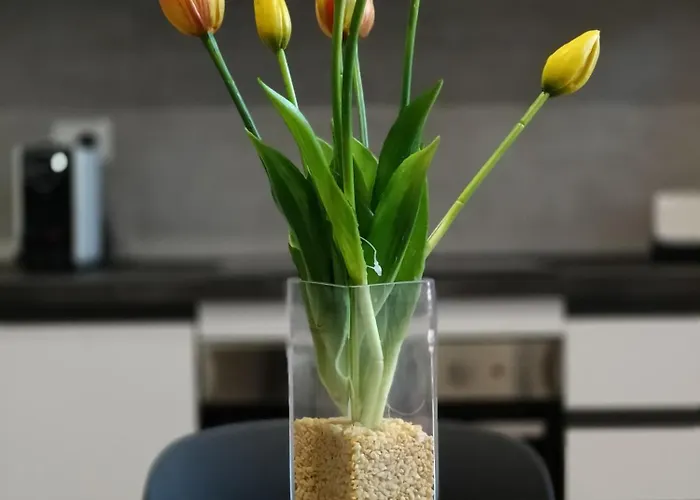 Lägenhet Luxury - Agnini 2 *