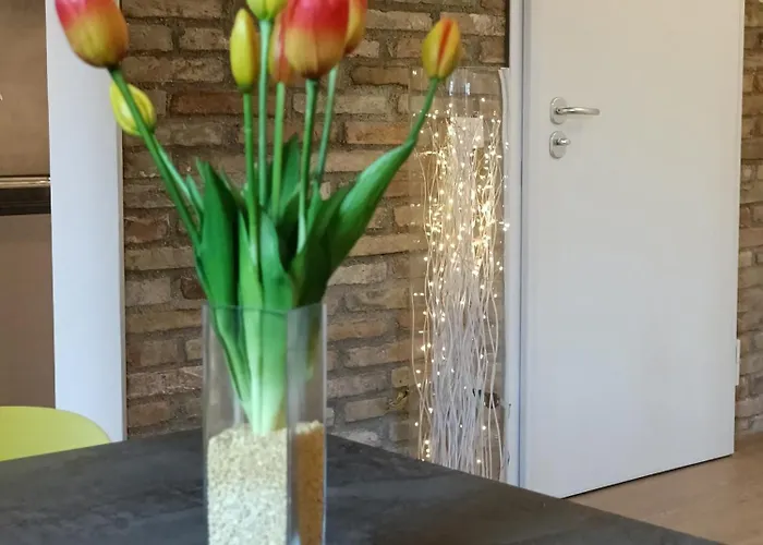 Luxury - Agnini 2 Castelfranco Emilia